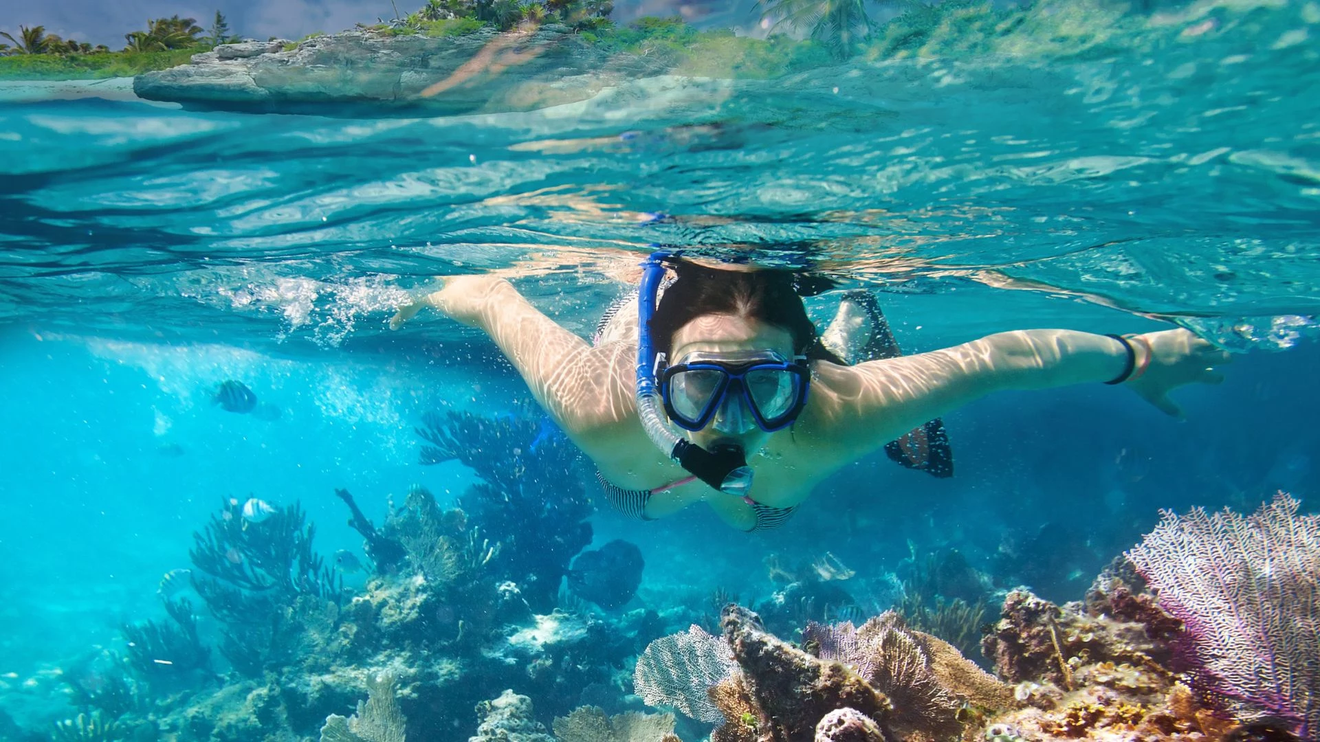 Snorkeling and diving in the clear tropical waters of Mauritius with views of coral reefs and marine life.