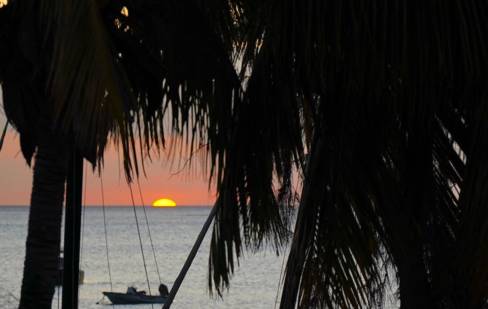Sunset on Mont Choisy beach framed between palm trees